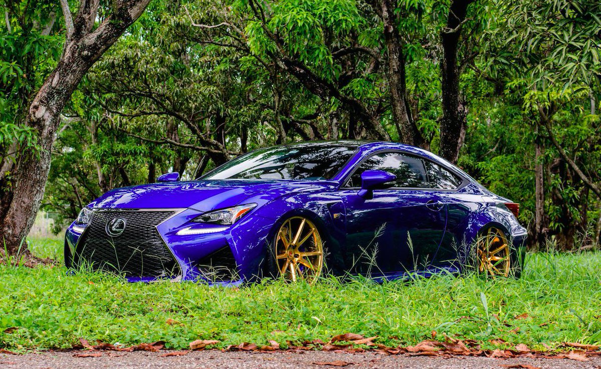 Lexus's tweet photo. Creepin'. #LexusRCF 
Owner: D. Mejia Photo: @usastance https://t.co/JqqiEVvZEZ
