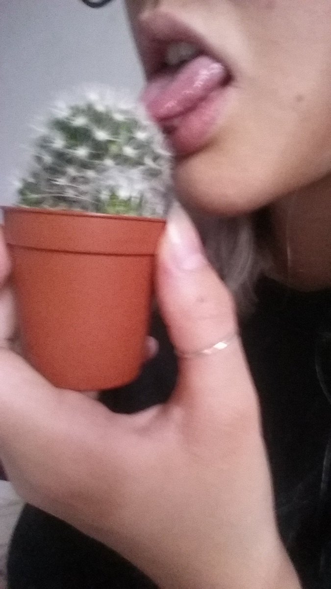 TheWheatleyShow's tweet photo. This is me licking the cactus https://t.co/YnLiYtWnaP