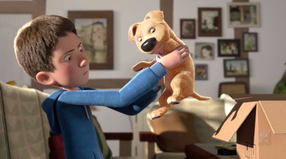 RoyalRamps's tweet photo. 4 minute film about disabled #puppy wins hearts, 59 awards, job offers from Disney. https://t.co/lFQkkSwElT https://t.co/CanXIZkuDp