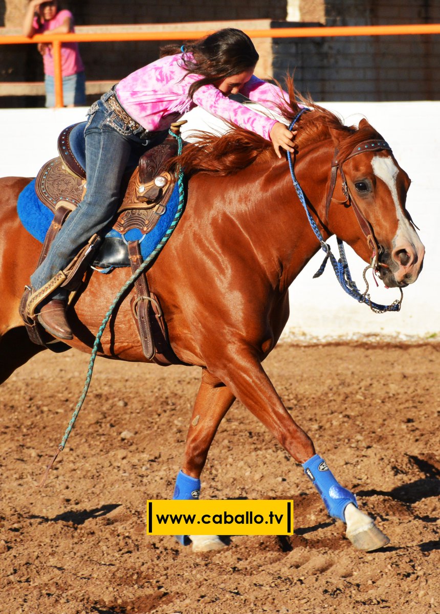 caballotv's tweet photo. Barrilera a toda velocidad #barrilera #fullspeed #rodeo #vaquera #cowgirl #caballos #horses #caballotv https://t.co/8nqjFuas6S