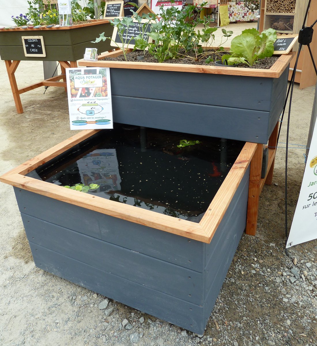 ★Cultivez vos légumes en symbiose avec des poissons avec l'Aqua Potager
►bit.ly/2cRKOB8
#Nantes  #aquaponie