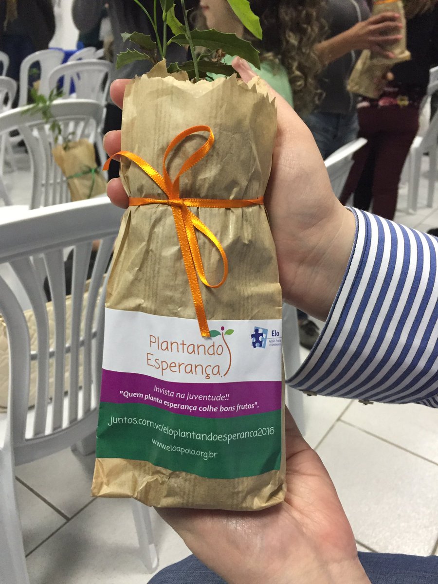 Sarah Ann Minge tweet media