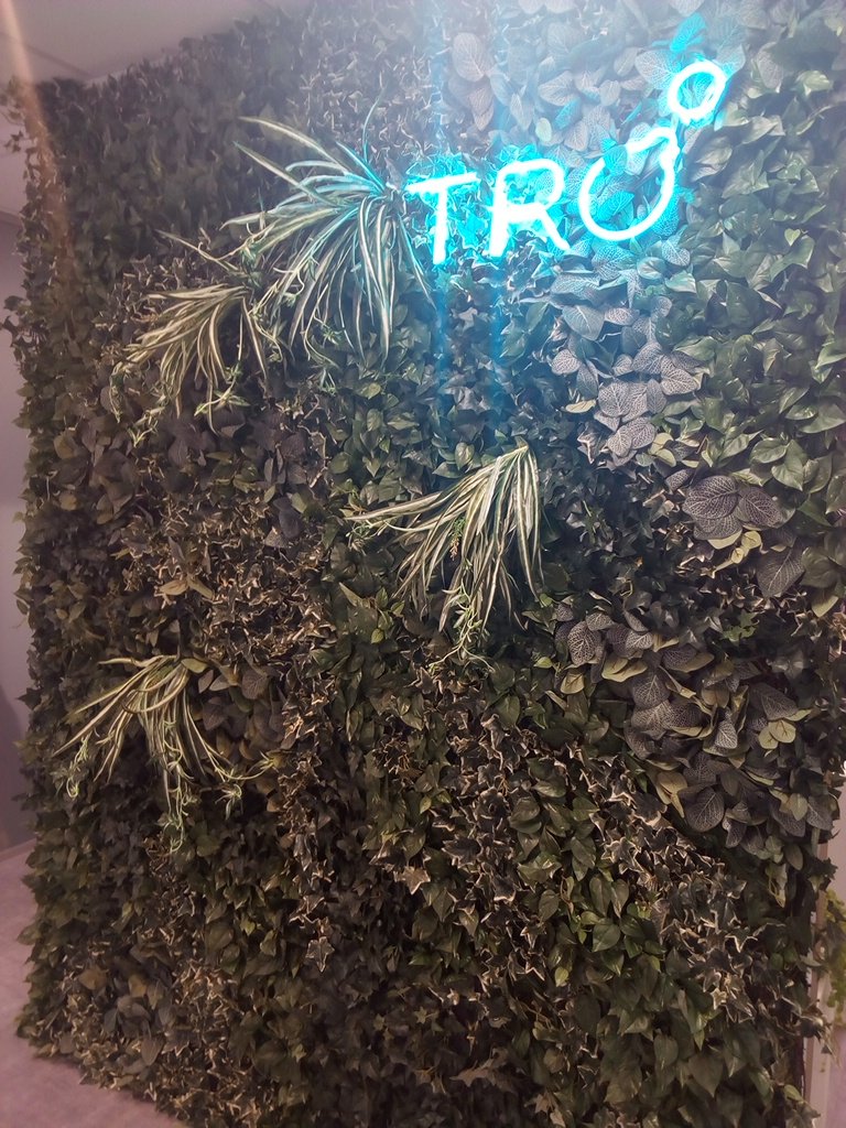 Oficina con jardín.así si! #troexperiencial