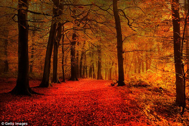 At least we are getting something out of it.

ow.ly/EEzT30465Dv