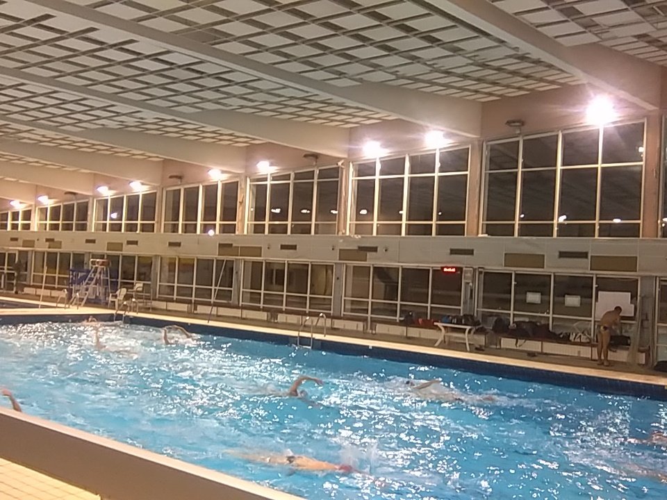 ASChelles_WP's tweet photo. C'est la rentrée pour les piranhas de Chelles!!! #waterpolo #ilovewp https://t.co/FZW9U0taDY