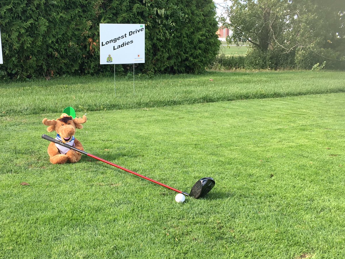 rjr_moose's tweet photo. Where's the Moose longest drive???

@RjRInnovations https://t.co/Mo9eRKBFkK
