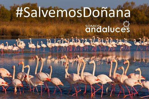 WHDORGUK's tweet photo. #SalvemosDoñana patrimonio andaluz y de la humanidad #XAndalucia nos pertenece a todos https://t.co/EcK5w5kwxC