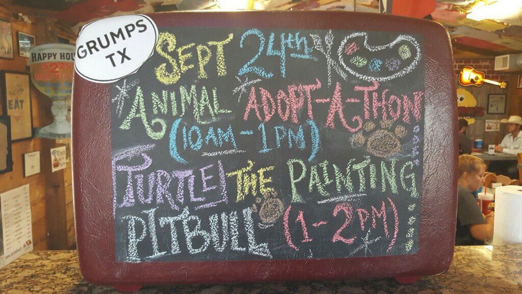 Adopt-a-thon &amp; Turtle the Painting Pitbull on Sept. 24! Dog-friendly event, well-behaved leashed dogs welcome!