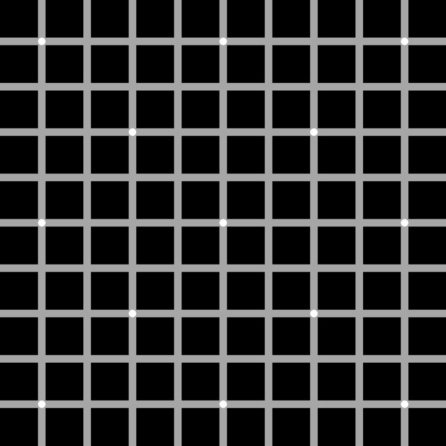 DiscoverMag's tweet photo. How grids and dots mess with our heads (can you see all 13 white dots?): https://t.co/0LpLuVAQiZ https://t.co/n4qmO2Ob5H