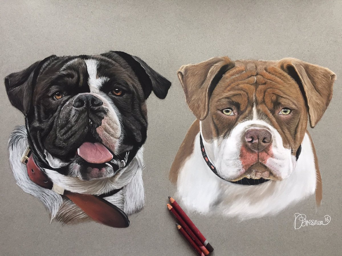 AdamsPortraits's tweet photo. Latest Alapaha portraits. Taking commissions now!Starting from £250 @AlapahaBreeders @AlapahaForums @CelticAlapaha https://t.co/E4FcsbGvvo