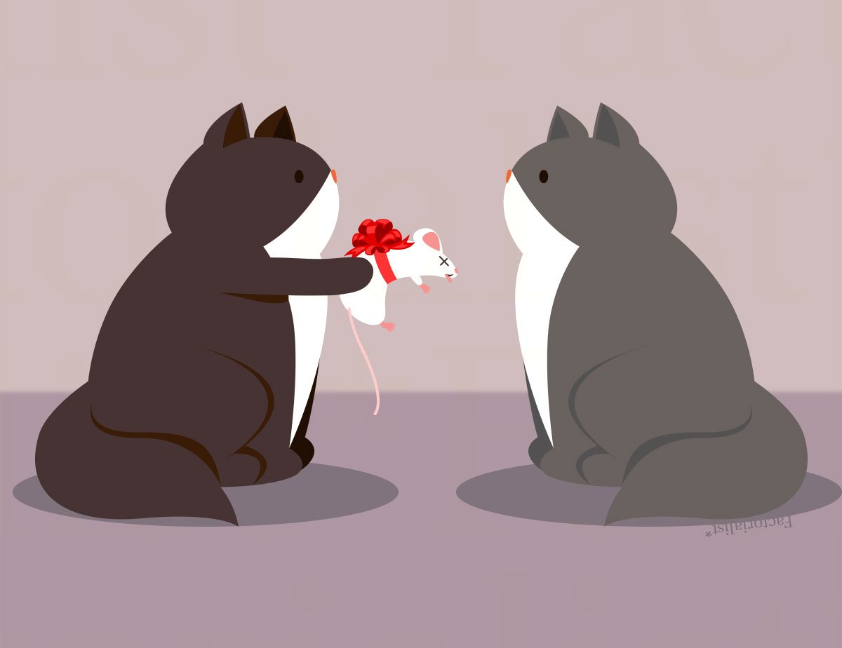 factorialist's tweet photo. Why animal gift-giving is a survival instinct #facts https://t.co/dY0wAY4Rj1 https://t.co/u0yQVbKdid