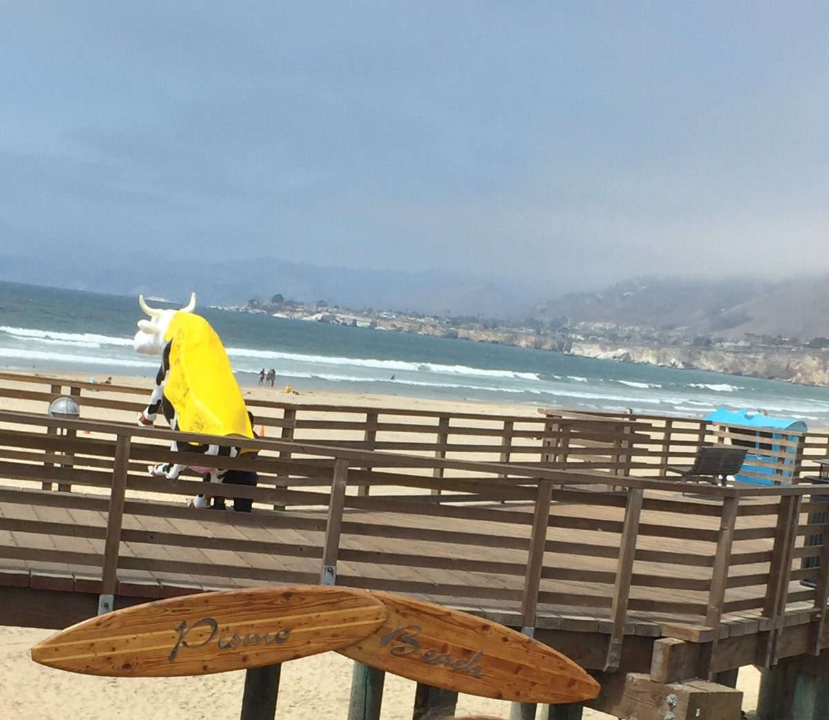 RubesCartoons's tweet photo. @CowParadeSLO #AdventureCow goes #whalewatching !
Both have calves so why not?
@VisitSLOC @cityofpismobeach #surf https://t.co/W6UWxQp7hP