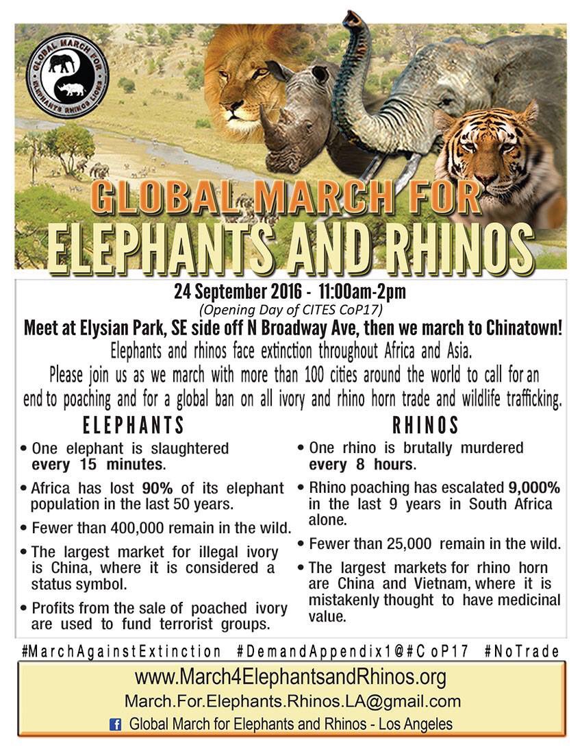EleRhinoMarch's tweet photo. .@Pattyshenker @friendlypnc @lindalumoore @ginachron @LabourAnimalRG THIS is #GMFER event 24thSept March 2 Chinatown https://t.co/fop0qBEHr3
