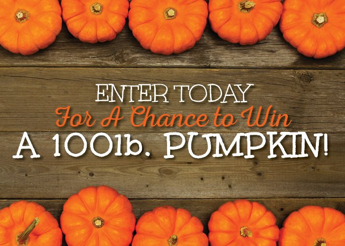RellekeFarmsIL's tweet photo. The #RellekePumpkinPatch #Sweepstakes are officially open! Enter for your chance to win! https://t.co/32Ax3701D7 https://t.co/IXt4kU1Q3G