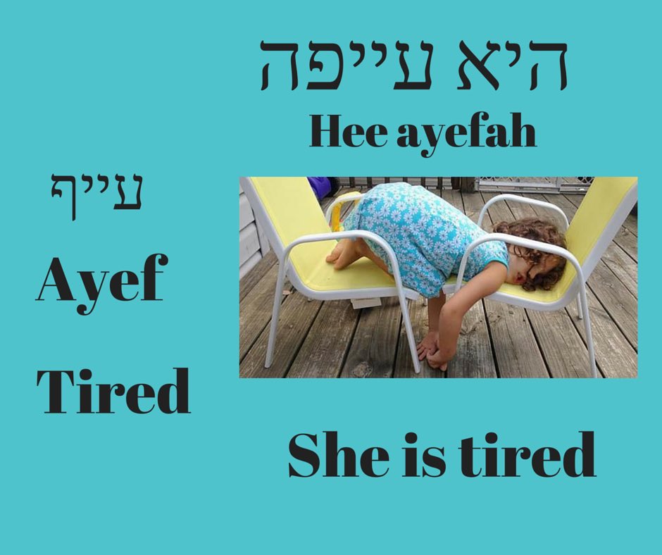 Hebrewforlife's tweet photo. Studies show....Learning modern Hebrew will improve your understanding of.... Israeli's...! ;) https://t.co/kLruv7tpK9