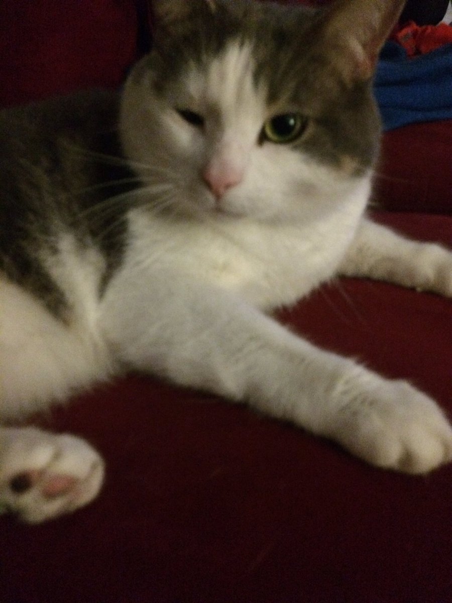 We play The Dom TOMORROW with LA's <a href="/dtbdetroit/">DOWNTOWN BROWN</a> and local faves Auto Racing! Come out for some hefty #funk