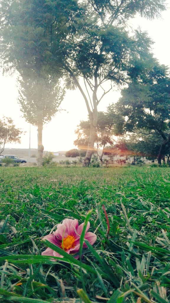 Redaa Khedr (@redaa_22) on Twitter photo 