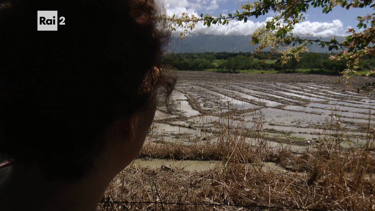 CdGherardesca's tweet photo. Bellissimo il paesaggio. La natura. La bandiera del Brasile. Posti inesplorati. Vergini. #pechinoexpress https://t.co/G7xWkfTt43