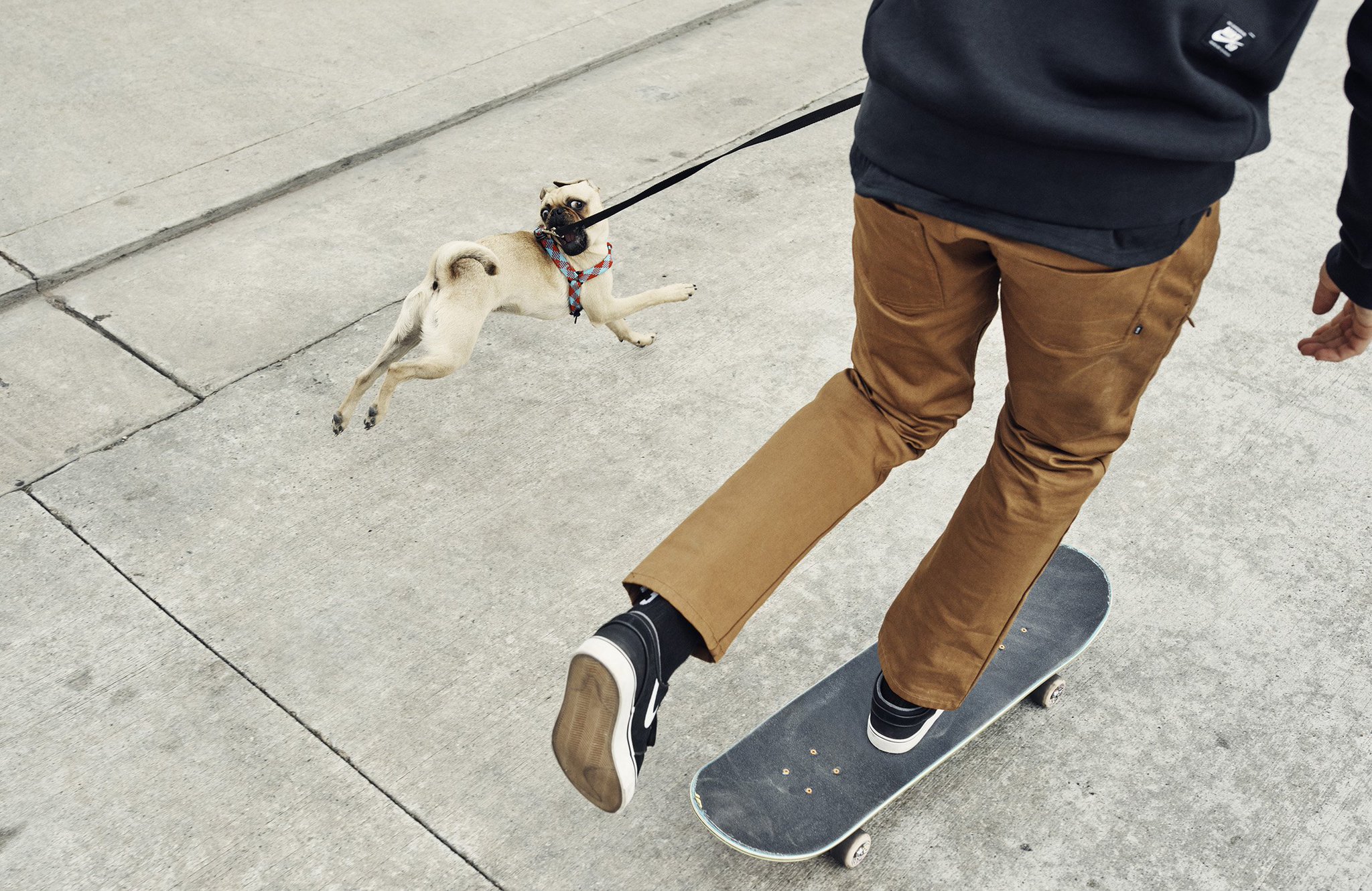 Nike sb leash discount