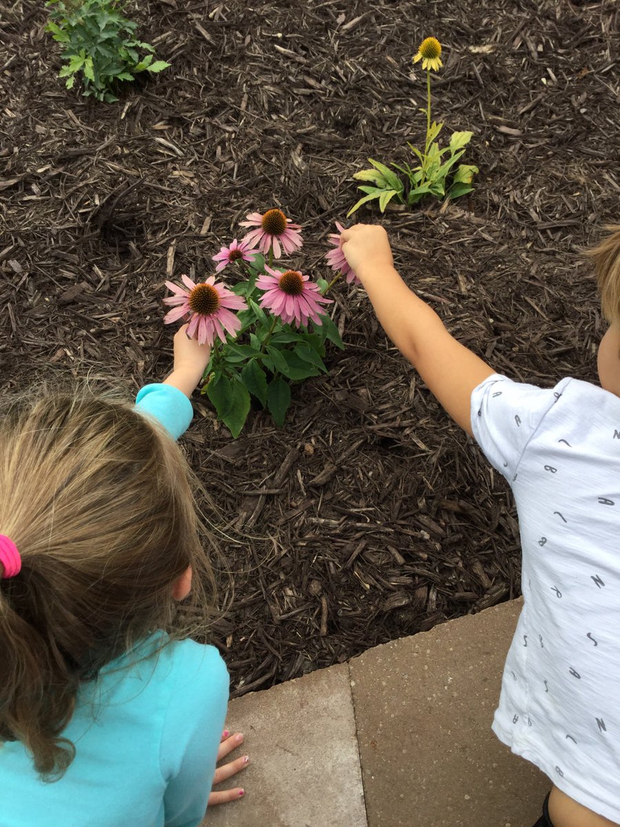 BVMesser1's tweet photo. Students had the opportunity to explore the Birchview Nature Center today with our school Naturalist, Ms. Callaghan. https://t.co/2UgZzTerTK