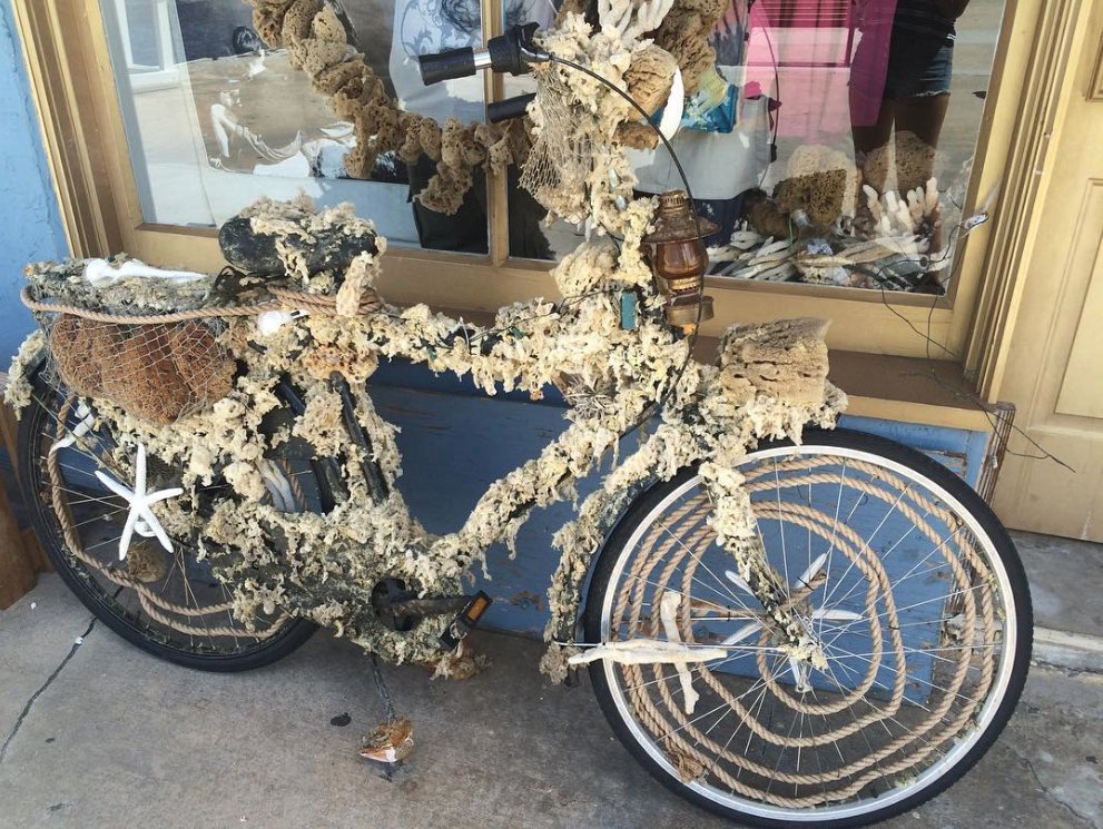 BrookeHummel_MX's tweet image. STUCK IN SUMMER!!!  #summersixteen #bhummel #stopblocktell #sunflowers #lemonade #croptops #sunshine