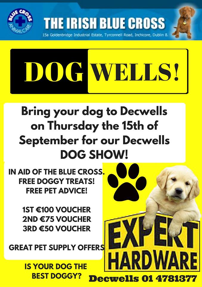 Decwells tweet media