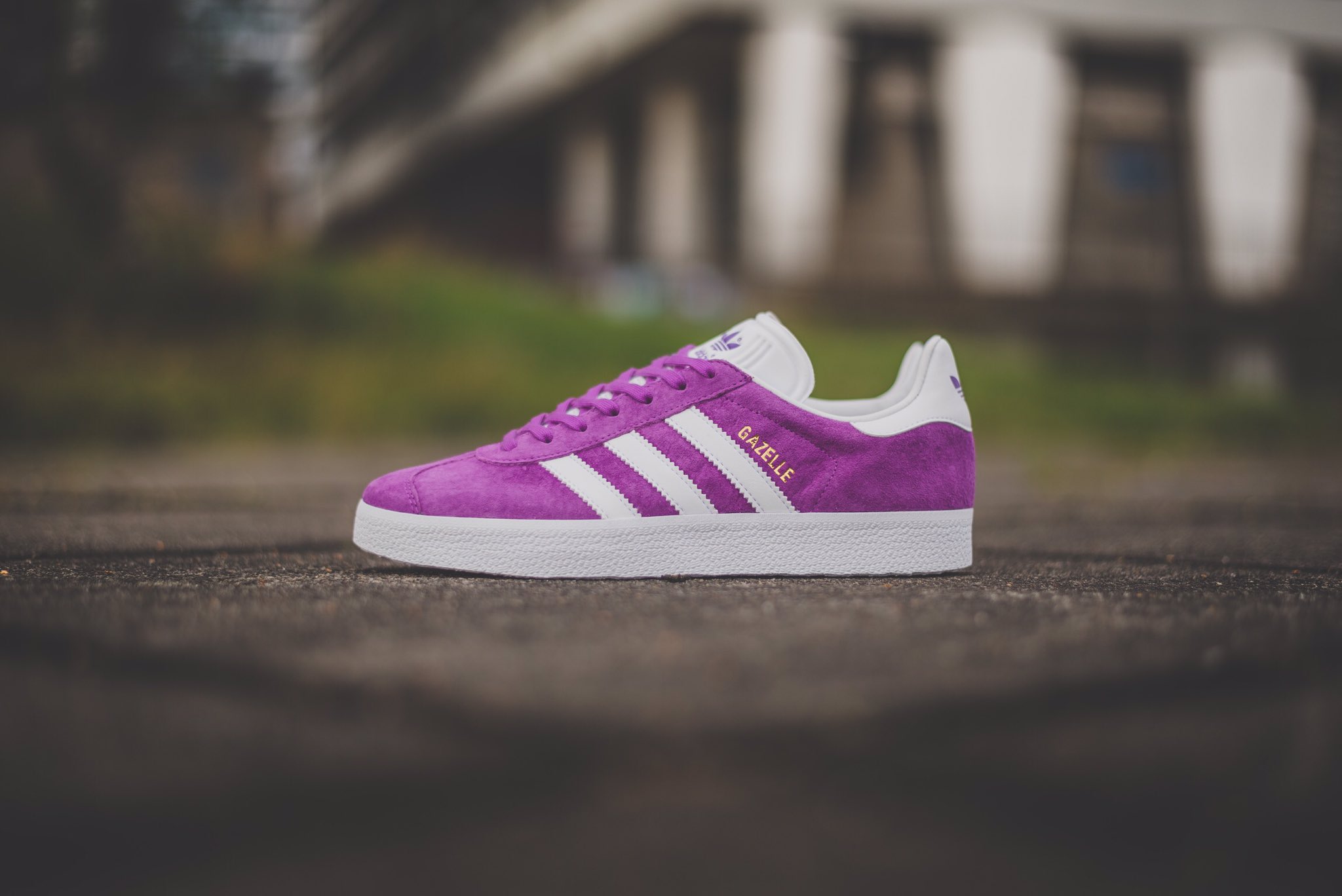 adidas gazelle shock purple