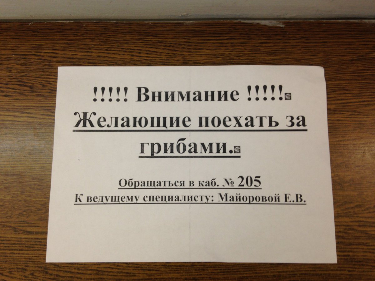 13pm's tweet image. Ведущий специалист, не абы кто.