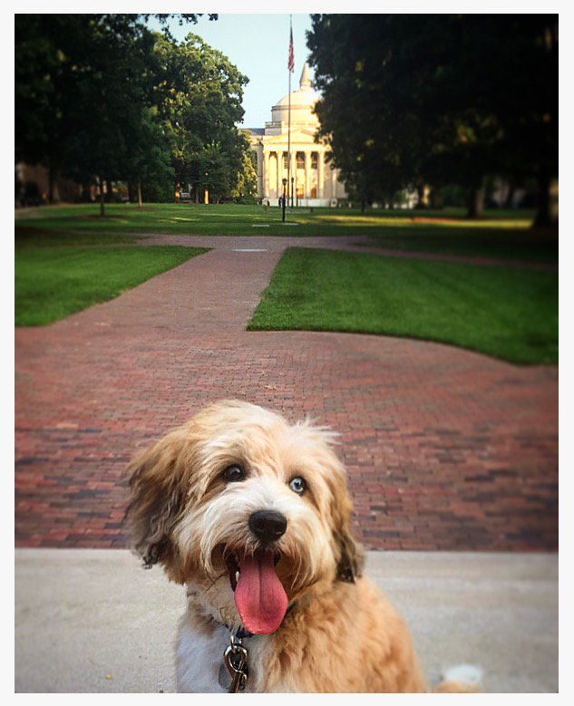 Hey fam! Hope your first weeks back at Carolina have made you as happy as this pupper!