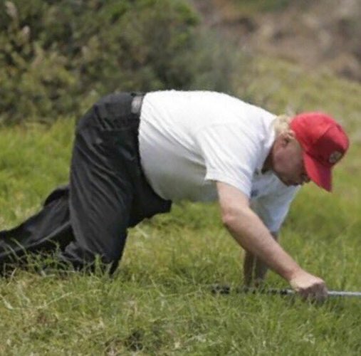 Image result for trump falling on golf course