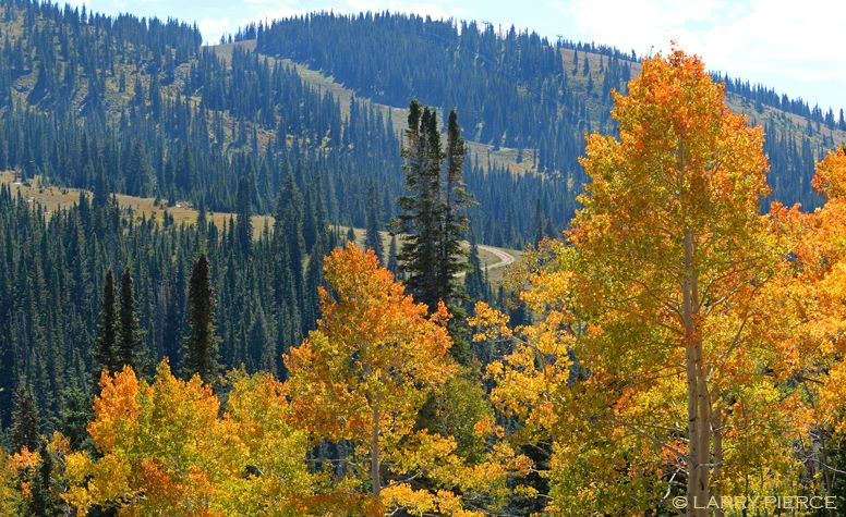 Some patches of aspens are starting to turn. It won't be long before the mountain is covered in gold. #ColoradoLive