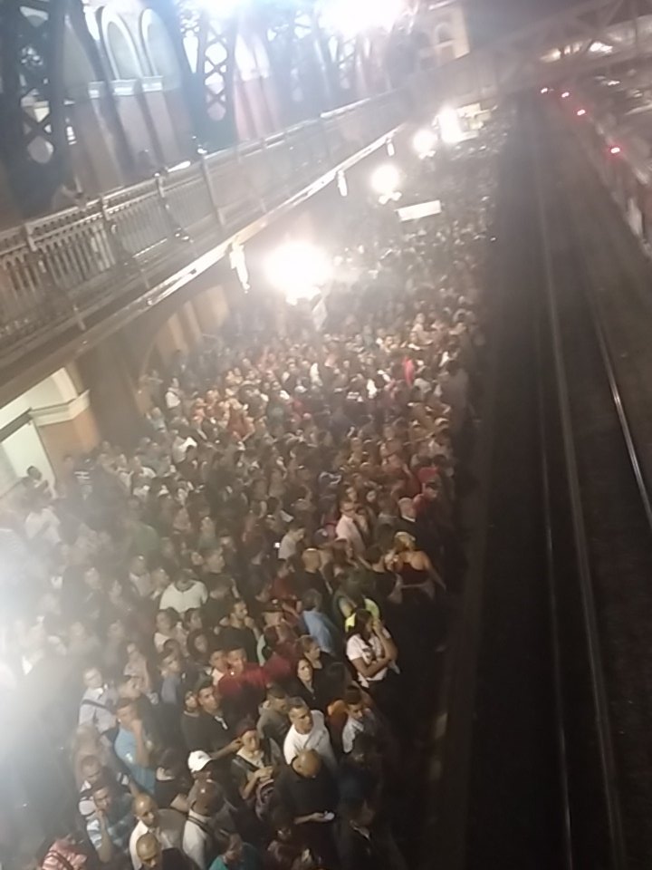Plataforma da Linha 11-Coral na Estação Luz (Foto: Marcos Souza)