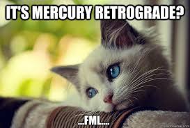 955KLOS's tweet photo. Who's feeling it??? BTW #NotACatMeme -Melissa https://t.co/KniBtZdJ85