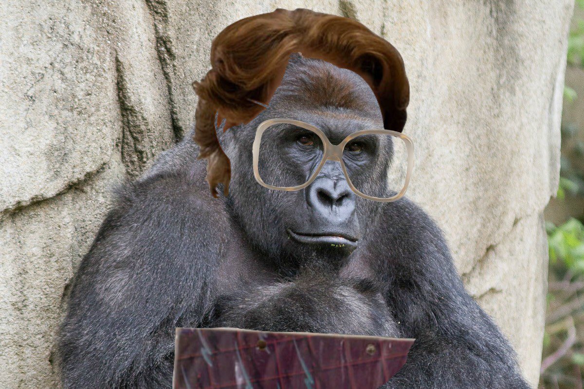 thamfpossum's tweet photo. RIP HARAMBARB #savage2016 https://t.co/qvspN5x2md