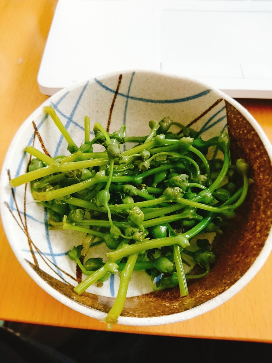 Twitter पर はるこ ᴗ ミズの実 さっと茹でて麺つゆに漬けておいたもの シャキシャキ感がたまらない W ﾑｼｬﾑｼｬ 山菜 ミズの実 みずの実