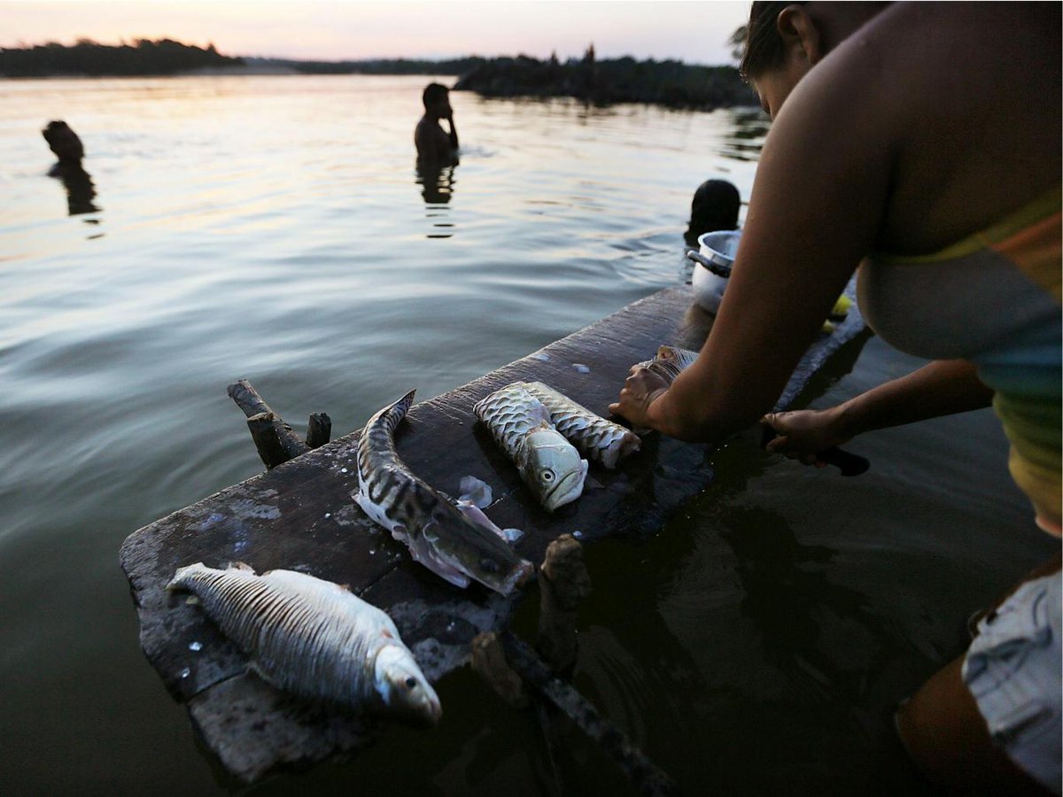 Climate Council (@climatecouncil) on Twitter photo 80% of the world's most precious habitats are unprotected, experts warn via <a href="/Independent/">The Independent</a>
ind.pn/2crvKsC 80% of the world's most precious habitats are unprotected, experts warn via <a href="/Independent/">The Independent</a>
ind.pn/2crvKsC