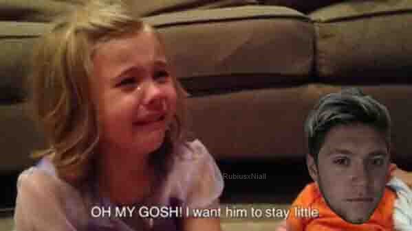 alaanpiris2's tweet photo. THE FANDOM RIGHT NOW 

#HappyBirthdayNiall https://t.co/S5Zv73sfns