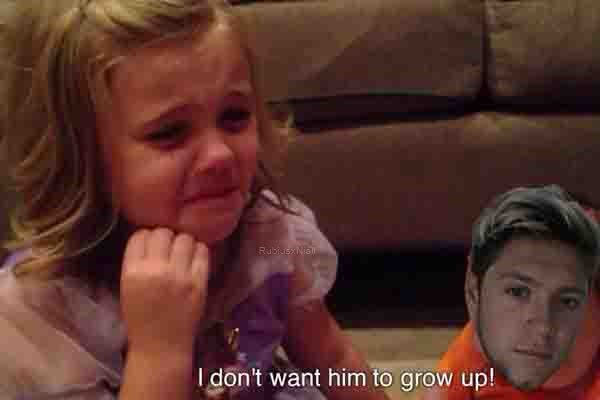 alaanpiris2's tweet photo. THE FANDOM RIGHT NOW 

#HappyBirthdayNiall https://t.co/S5Zv73sfns