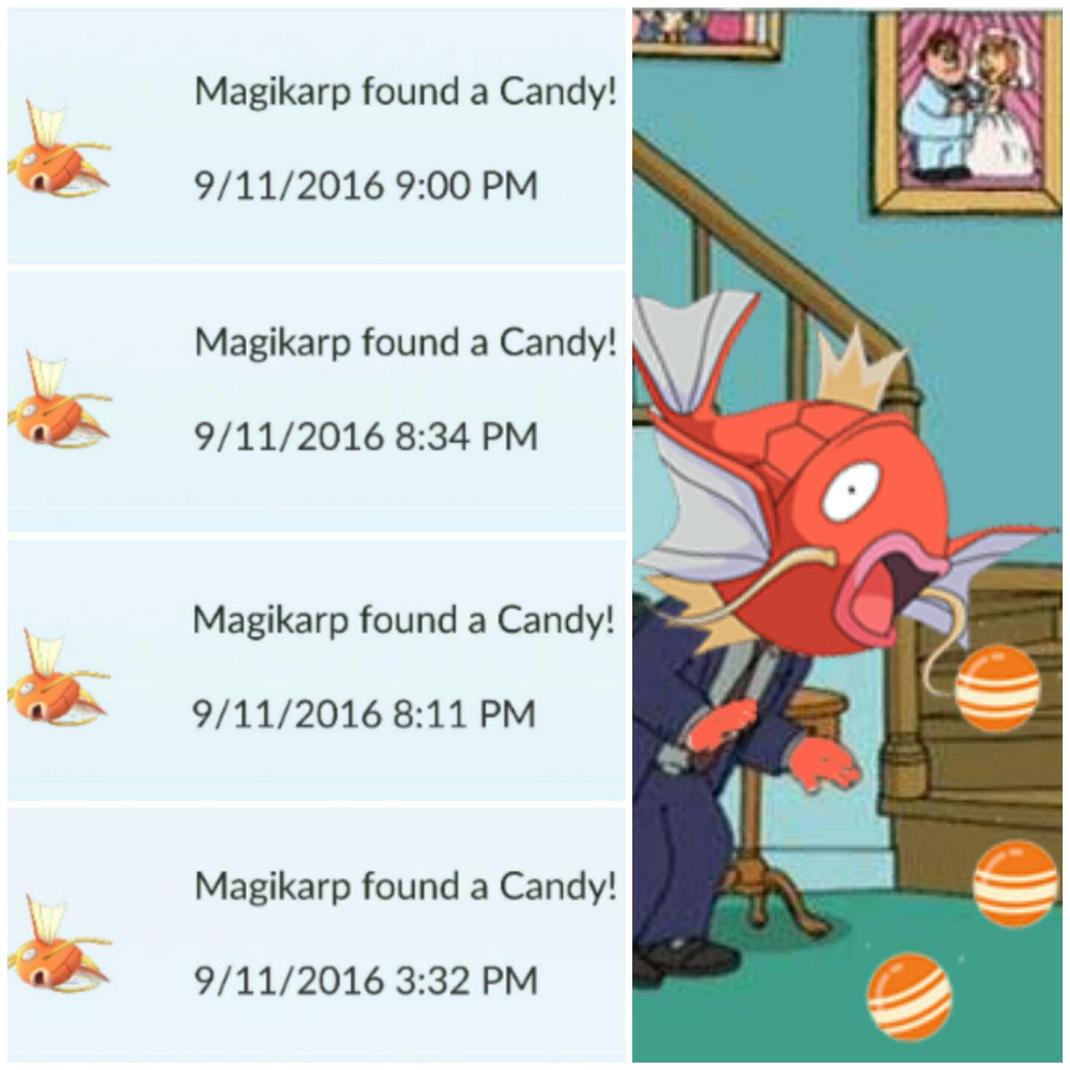 PokemonGoNews's tweet photo. Would you use a Magikarp as a Pokémon Buddy to gather all 400 Pokémon Candy for it to evolve? [credit] u/calix_xto https://t.co/BUpjyL8bGF