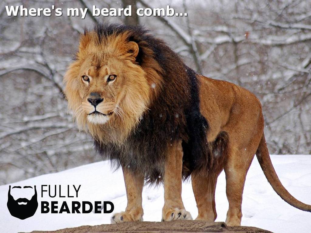 fully_bearded's tweet photo. Who's mane is ready for Winter?
Keep it looking good with the Knuckled Comb from Fully Bea… https://t.co/Tc0eYLKdQO https://t.co/mSzRz6FgkD