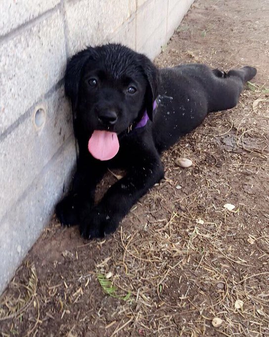 Valor appreciation tweet https://t.co/rqQakelhvJ<a href="/tag/cancersucks"class="tags"><span>#cancersucks</span></a>