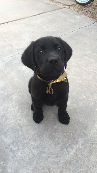 Valor appreciation tweet https://t.co/rqQakelhvJ<a href="/tag/cancersucks"class="tags"><span>#cancersucks</span></a>