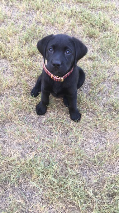 Valor appreciation tweet https://t.co/rqQakelhvJ<a href="/tag/cancersucks"class="tags"><span>#cancersucks</span></a>