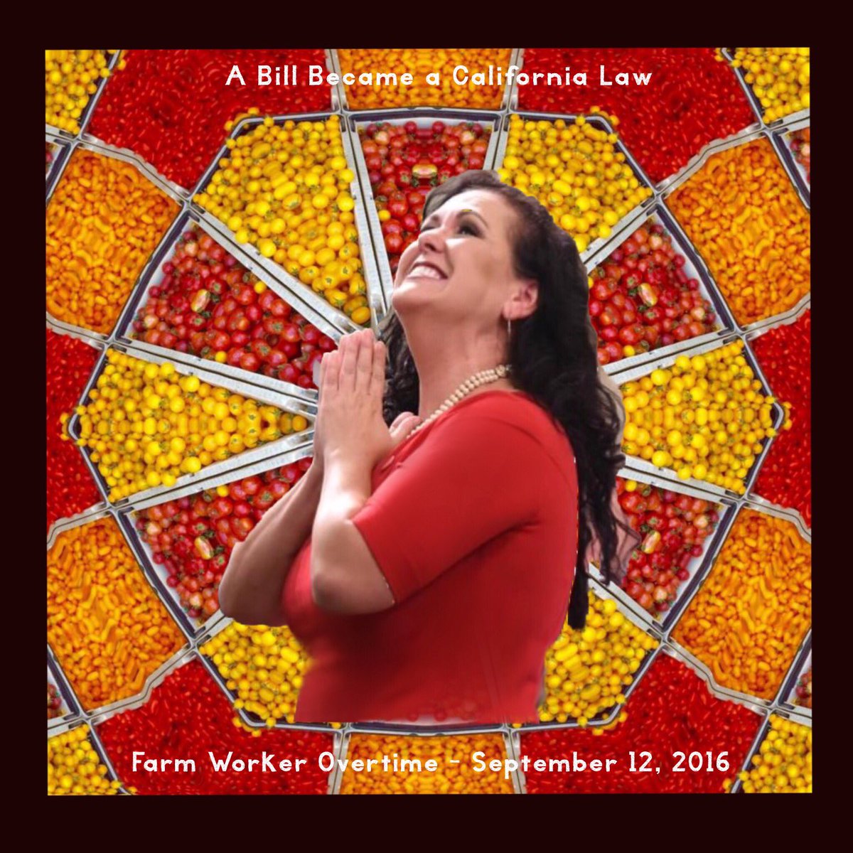 drmoll's tweet photo. @LorenaSGonzalez #Joy #Inspiration #Farmworker #justice #history #conlosmanos #ufw #quevive #handpicked #aflcio https://t.co/JAZEZH1XTN