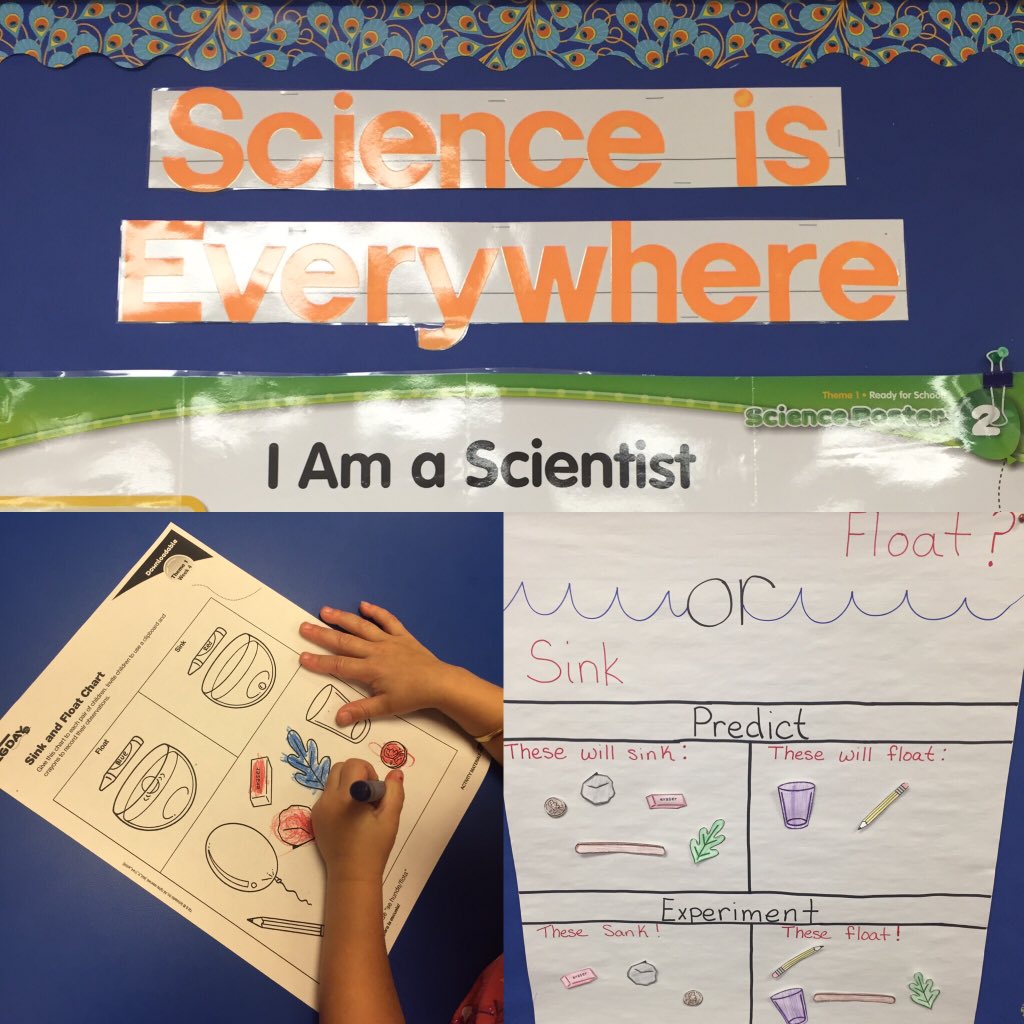 ackerman_casey's tweet photo. Little hands and minds exploring and making predictions @LakeMagdaleneES @HCPS_ESESPARS @HillsboroughSch https://t.co/HjQq7I6XpS