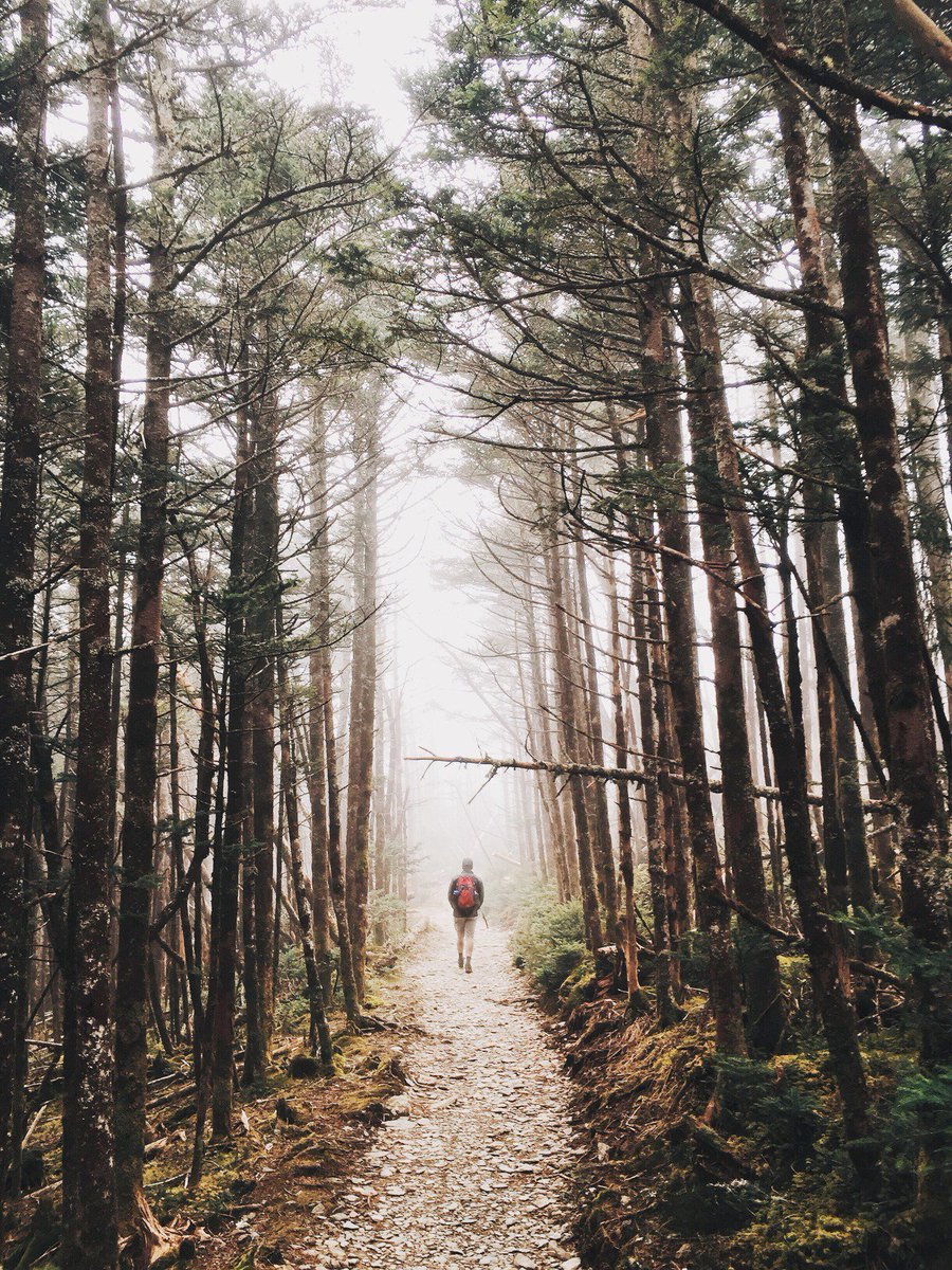 bethelmusic's tweet photo. We can choose to walk alone, or we can grab the hand of the Lord.

PC: Corey Wolfenbarger
#togethercreative https://t.co/bqrGEBaZoh