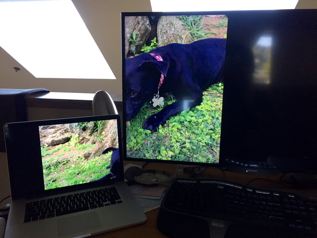 RickStrahl's tweet photo. Nicely done Windows (screensaver). #4kfail https://t.co/Je1S3ZpgtK