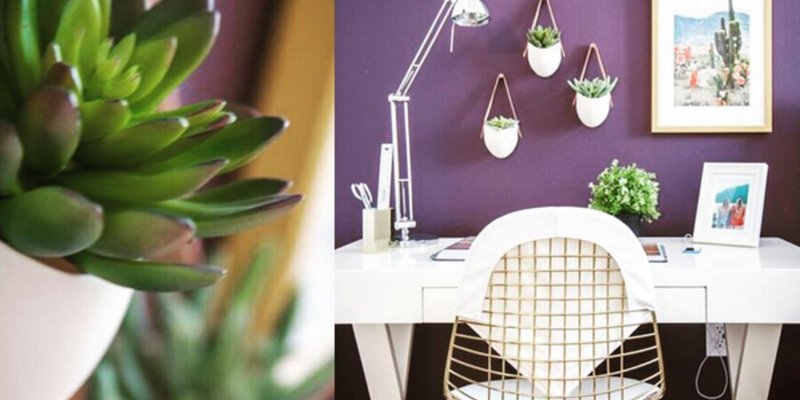AltaYorktown's tweet photo. Getting back to work is much more fabulous w/ a #HomeOffice by @b2architecture #DallasDesign https://t.co/YlAGkJHbnq https://t.co/GP6u5wCpal