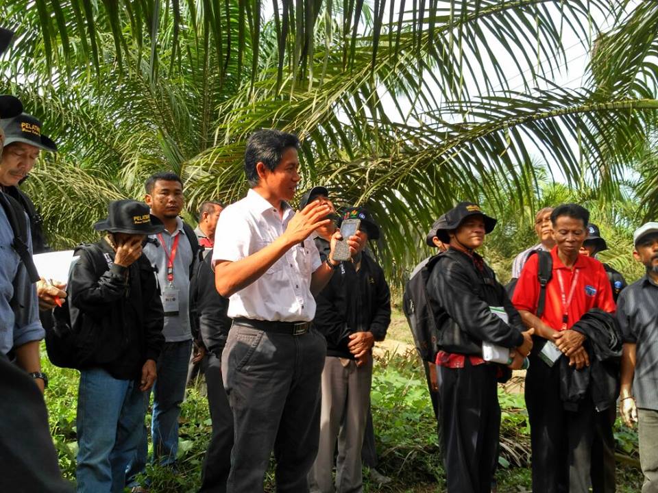 PTPN_13's tweet photo. PTPN13 Slenggrkn Sekolah Lapngn kpd Petani KS di Kbn Ngabang brsm Mitra Strategis BPDP, GPPI, IPB, PPKS @KemenBUMN https://t.co/0tgkVm1S8d