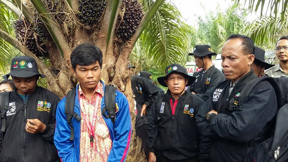 PTPN_13's tweet photo. PTPN13 Slenggrkn Sekolah Lapngn kpd Petani KS di Kbn Ngabang brsm Mitra Strategis BPDP, GPPI, IPB, PPKS @KemenBUMN https://t.co/0tgkVm1S8d